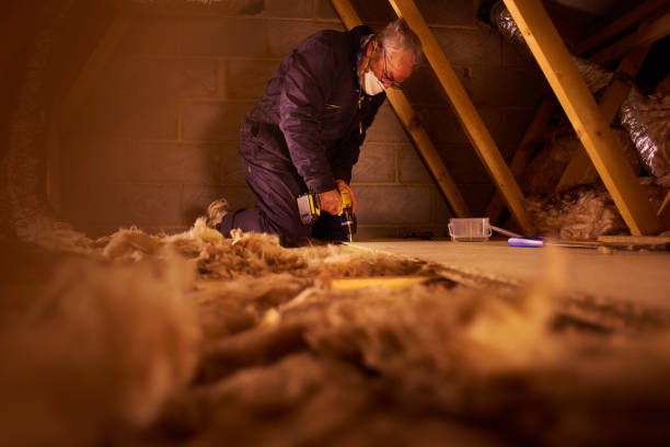 Best Insulation Maintenance and Repair in Kalama, WA